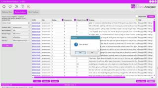Ama Review Analyzer - Saving and loading data