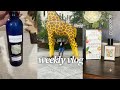 Weekly Vlog: VIB Rouge | Tag These Brands! | I can Have It All | Featured Content + More!