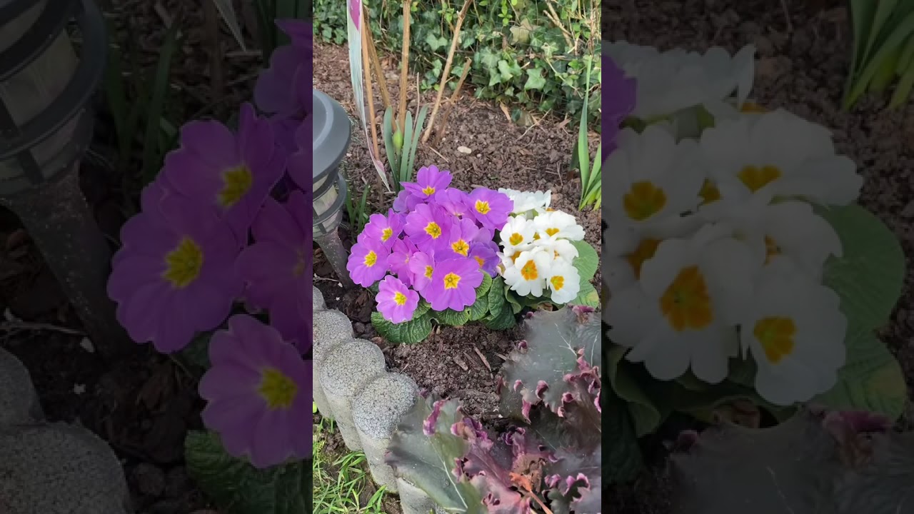 28 февраля 2026 г.