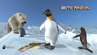 Arctic Penguin Android Gameplay screenshot 2