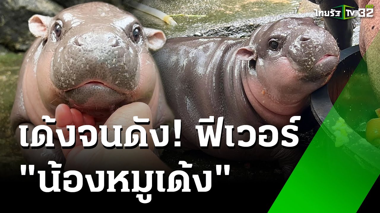 เขาเขียวแตก! นทท.แห่ชม 