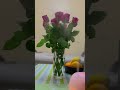 #flowers #nature #travel #love #foryou #fypシ #music #viral #dubai #shorts #fyp #rose #beautiful #fyy