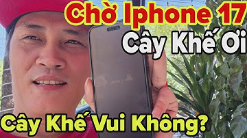 Nhóm Cây Khế Có Vui Không Khi Nghe Tin Này?