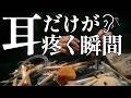 最も気持ちよい"37種類"の耳かき【ASMR】