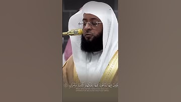 تلاوة الشيخ بدر التركي