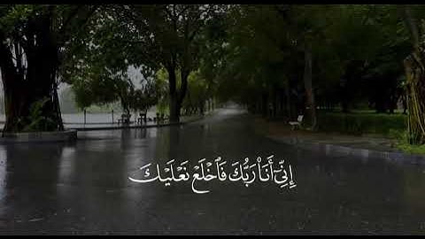 قناة نور القران | ( فَلَمَّآ أَتَاهَا نُودِيَ ياموسى) | سورة طه | للقارئ احمد خضر