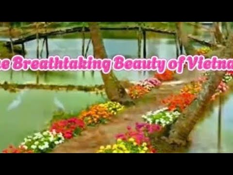 Vietnam’s Breathtaking Beauty 🇻🇳✨ | Discover the Hidden Paradise of Vietnam