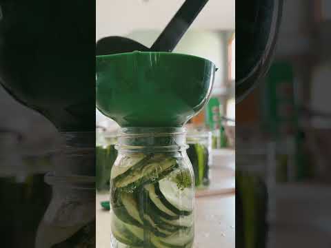 SUPER EASY Homemade Dill Pickles Summer Canning Canning Pickles Gardening 