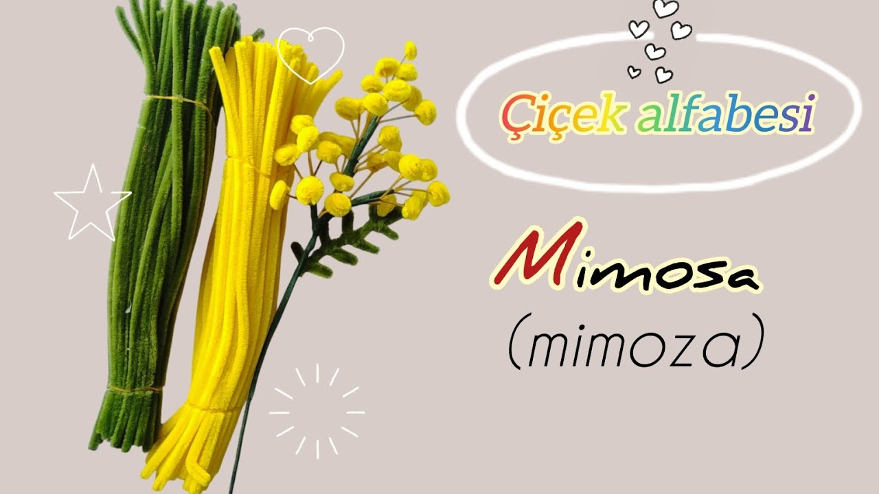 Çiçek alfabesi ✨ ŞÖNİL ÇİÇEK 🌿 M - Mimoza