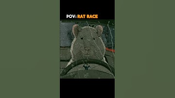 Rat Race | sad reality of today