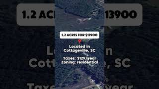 1.2 acres in South Carolina for $13900 #realestate #land #foryou #property #shorts #viral #fyp #sale