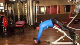 Ravi Seths Vlog 699 Back Extension Extended Arms With 25 Pounds