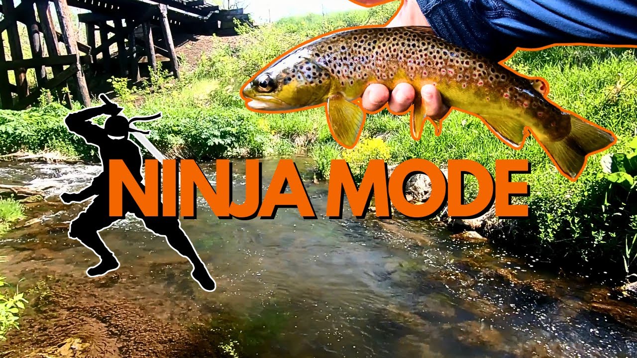 My Second Time Using The Tanuki 325 (Black Wing Angel)! | SILENT NINJA MODE!  | Kebari and Nymphs!