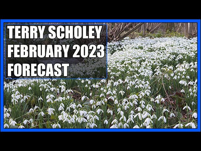 Terry Scholey February 2023 Forecast