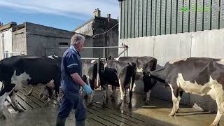 Part 2 with Billy O'Connor Handling Facilities & Collecting Yard