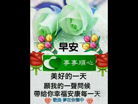 早安：梦在你怀中