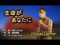 【音樂/Music】生命があなたに中譯 (五木ひとし) 1996年7月22日発売 / 翻唱Cover:Victor/維特の世界/維特攝影/Internal sound/歌詞中譯/請開啟cc字幕歌詞翻譯