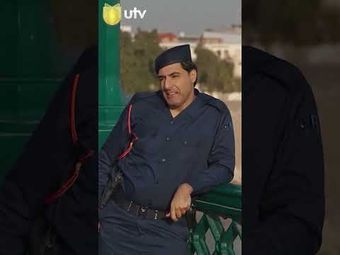 حيرة العيد احمد وحيد قط احمر