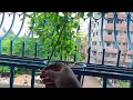 আজ বৃষ্টির দিনে চিকেন রান্না করলাম||সবাই মিলে জমপেস করে খেলাম||