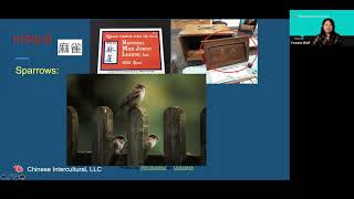 The History of Mah Jongg with Yvonne Wolf (April 28, 2021) screenshot 5