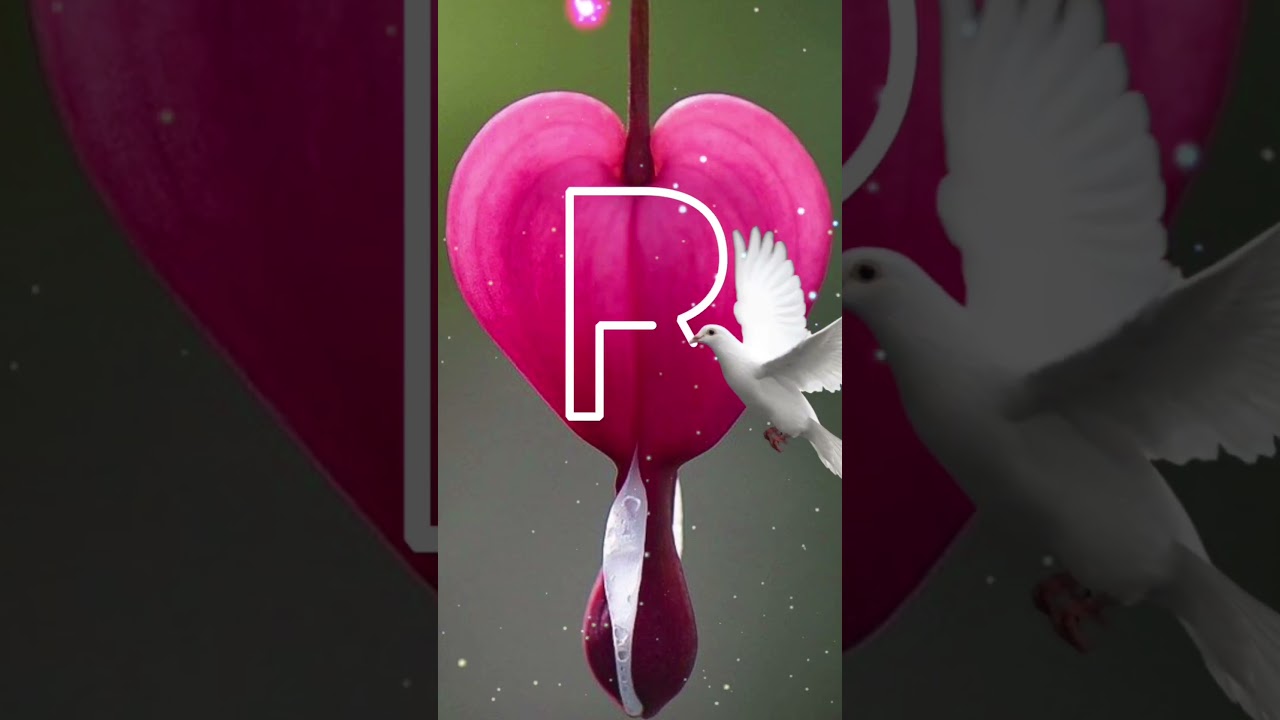 R Letter Name status❤✨️||NewTrendin Name art video 