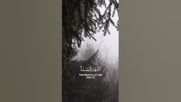 مقتطفات من سورة البقرة بصوت القارئ محمد اللحيدان