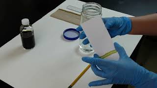 BIO203 Chromatography & Absorption Spectra 2026