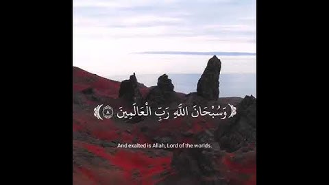 القارئ الشيخ ياسر الدوسري 🎧 آيات ⚡ أجمل حالات واتس اب دينية مقاطع دينية قصيرة مقاطع انستقرام دينية
