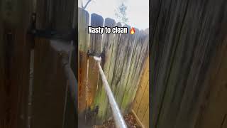 Gave my fence a new life 😎😎😎