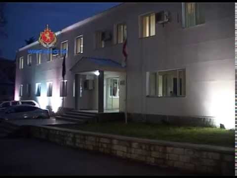 შსს-მ სამსახურებრივი სიყალბის ბრალდებით სოფელ გრემის რწმუნებული დააკავა