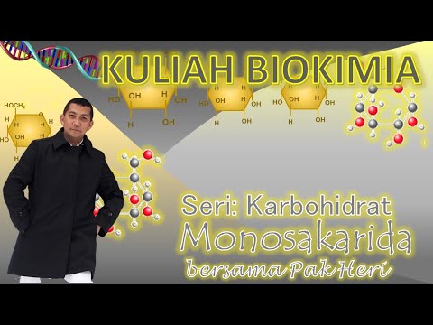 Karbohidrat  Monosakarida
