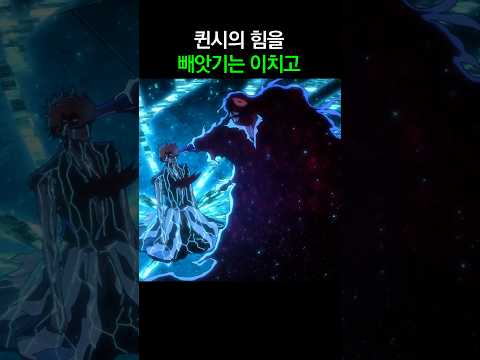 퀸시의 힘을 빼앗기는 이치고 thumbnail