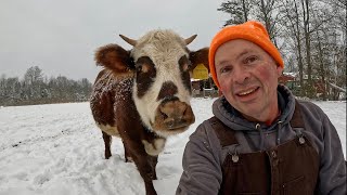 Farming in the snow in Maine