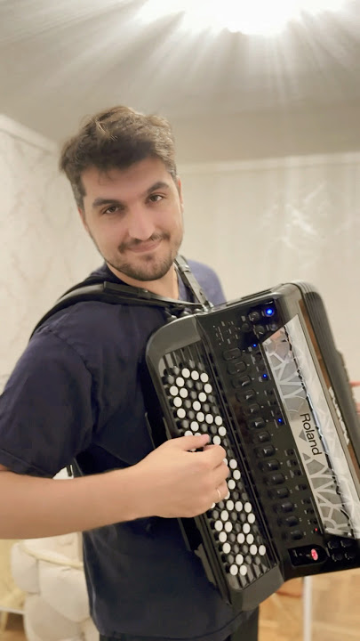 The Godfather - Speak Softly Love #accordion #music #accordionist #cover #akkordeon #akordeon