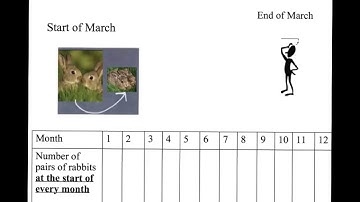 Fibonacci Rabbit problem