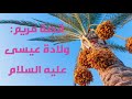 قصة مريم 2 ولادة عيسى عليه السلام 