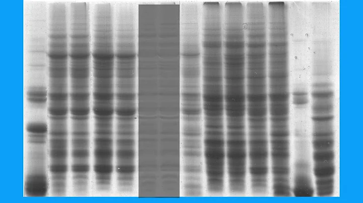 9A457619C6BD6AB5B7076407573B95#1