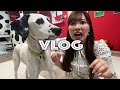 妄想では付き合ってる彼女とダルメシアンカフェデート【VLOG】