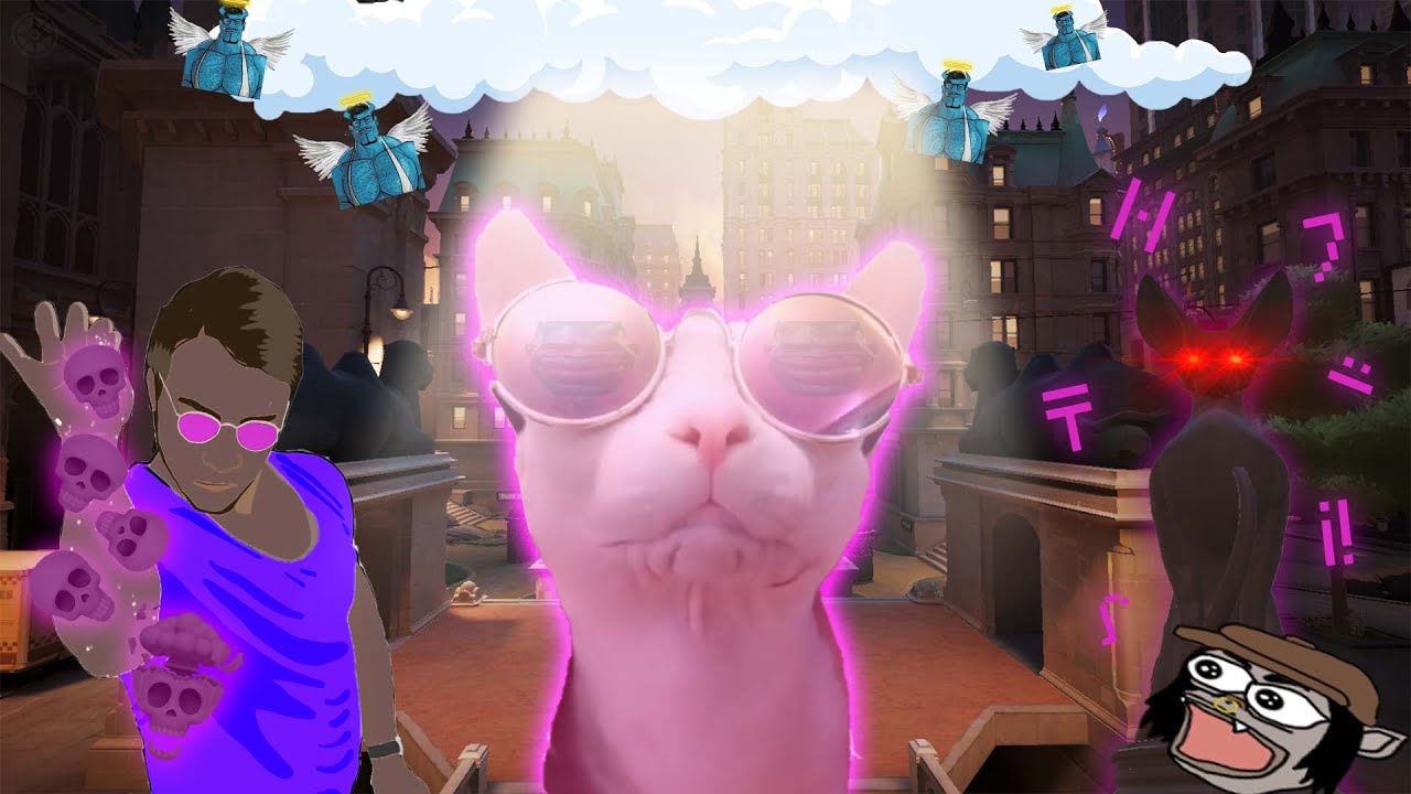 Тупик: опыт Calico 🐈