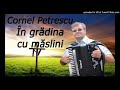 În grădina cu măslini - Cornel Petrescu ( Oastea Domnului )