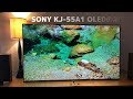 SONY BRAVIA A1 OLED 4K Demo Movie【KJ-55A1】有機ELの凄み