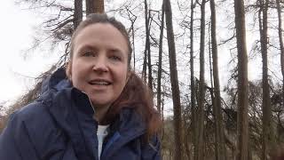 Meet the TreeSisters Team ~ February Newsletter Video & Celebrating Our Love Of Mother Earth!