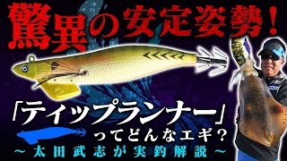 【ティップランエギング】驚異の安定姿勢！「ティップランナー」ってどんなエギ!?