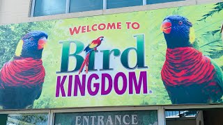 World’s LARGEST Free Flying Indoor Aviary Bird Kingdom Niagara Falls Talk And Walk  July 28, 2021