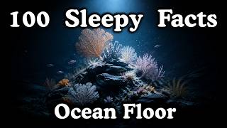 Documentary for Sleep | 100 Sleepy Ocean Floor Facts