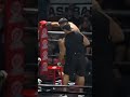 Modern day gladiators brawl in the boxing ring