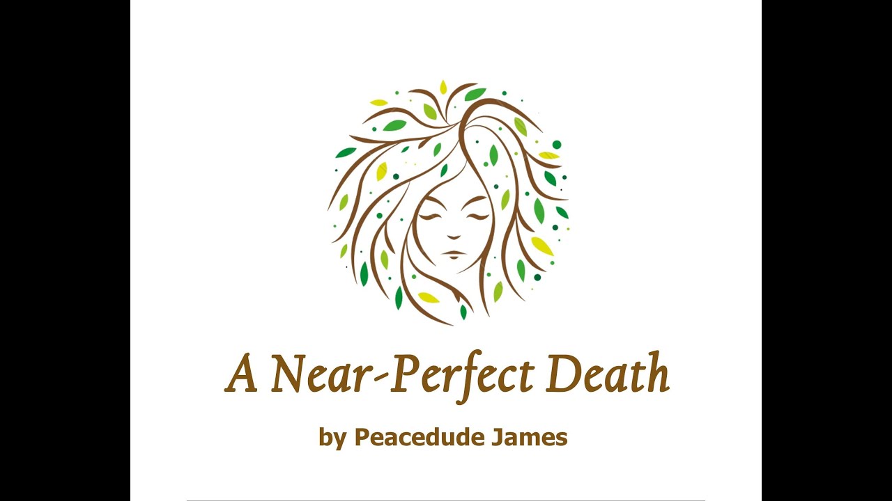 A Near Perfect Death, by Peacedude James