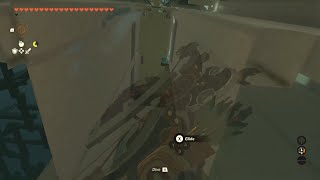 Weird Camera Glitch in TOTK