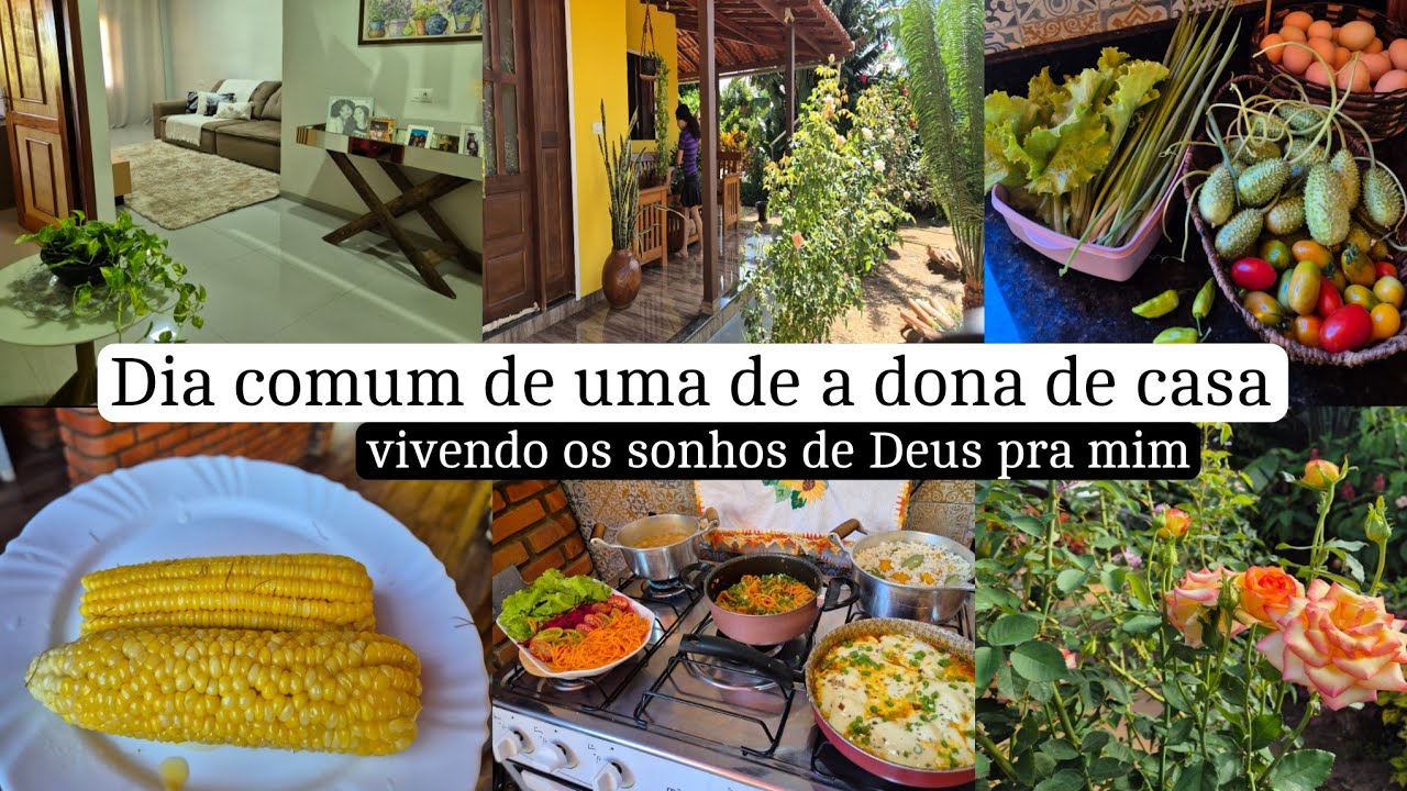 Manhã produtiva/ cuidando do meu lar/ almoço delicioso pra minha família *dicas