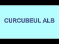 CURCUBEUL ALB